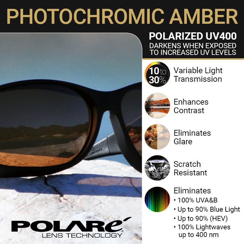 Cocoons photochromic amber
